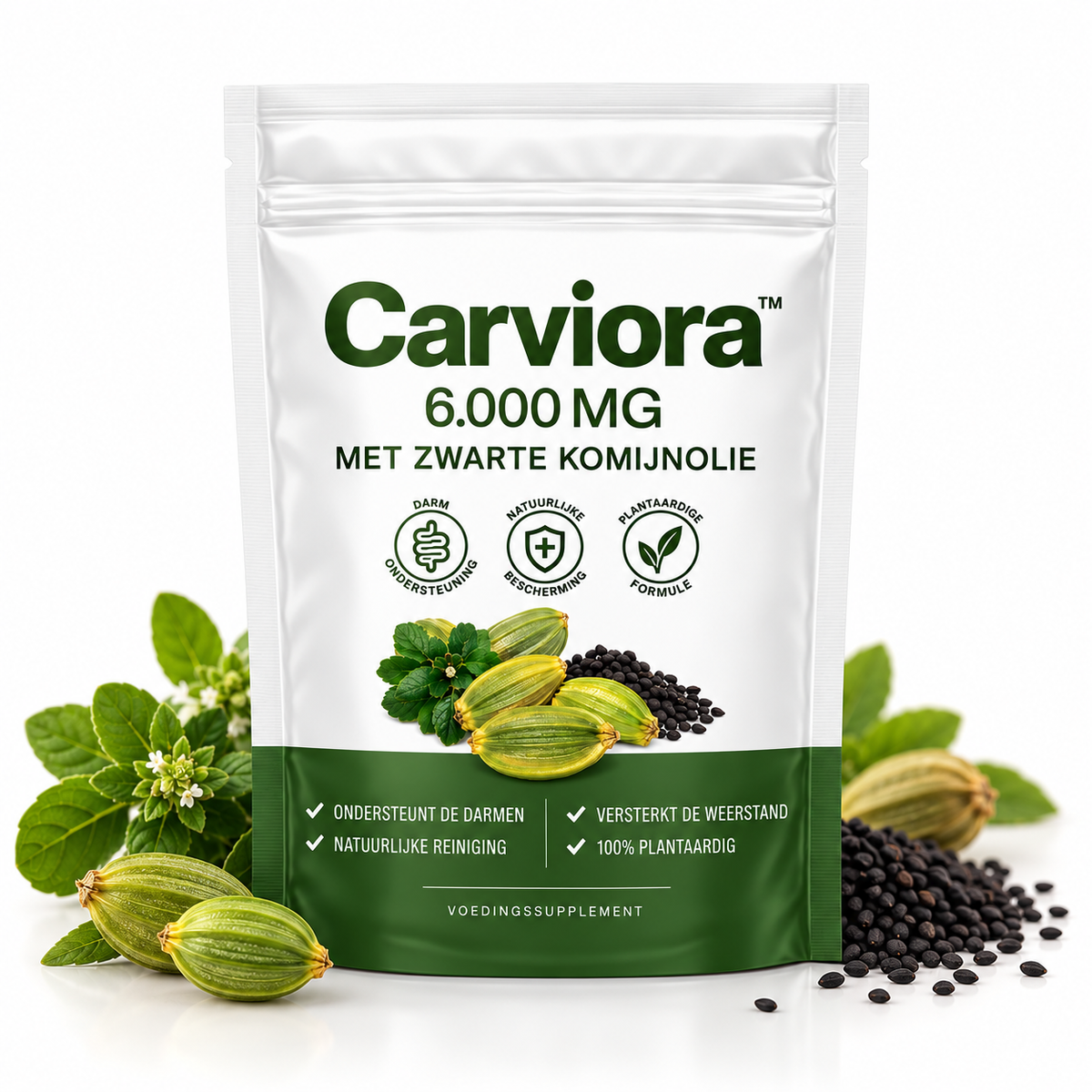 1 x Carviora™